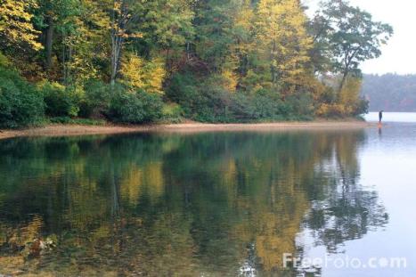 Walden Pond: the site that launched a thousand hipster rants